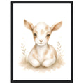 Lammposter poster