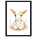 Lammposter poster